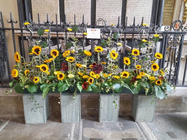 A group of sunflowers in a row

Description automatically generated